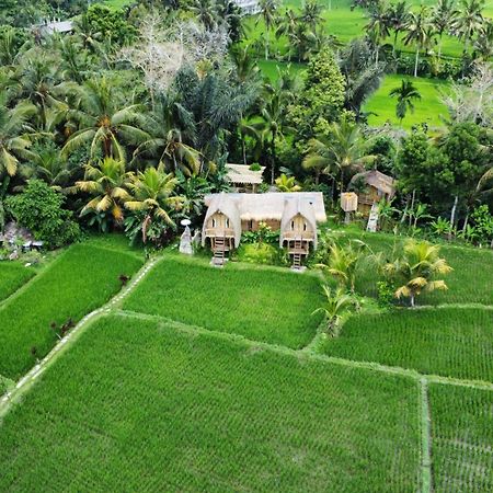 Kawig Bamboo House - Ricefield View, Eco Bamboo Home Tampaksiring Luaran gambar