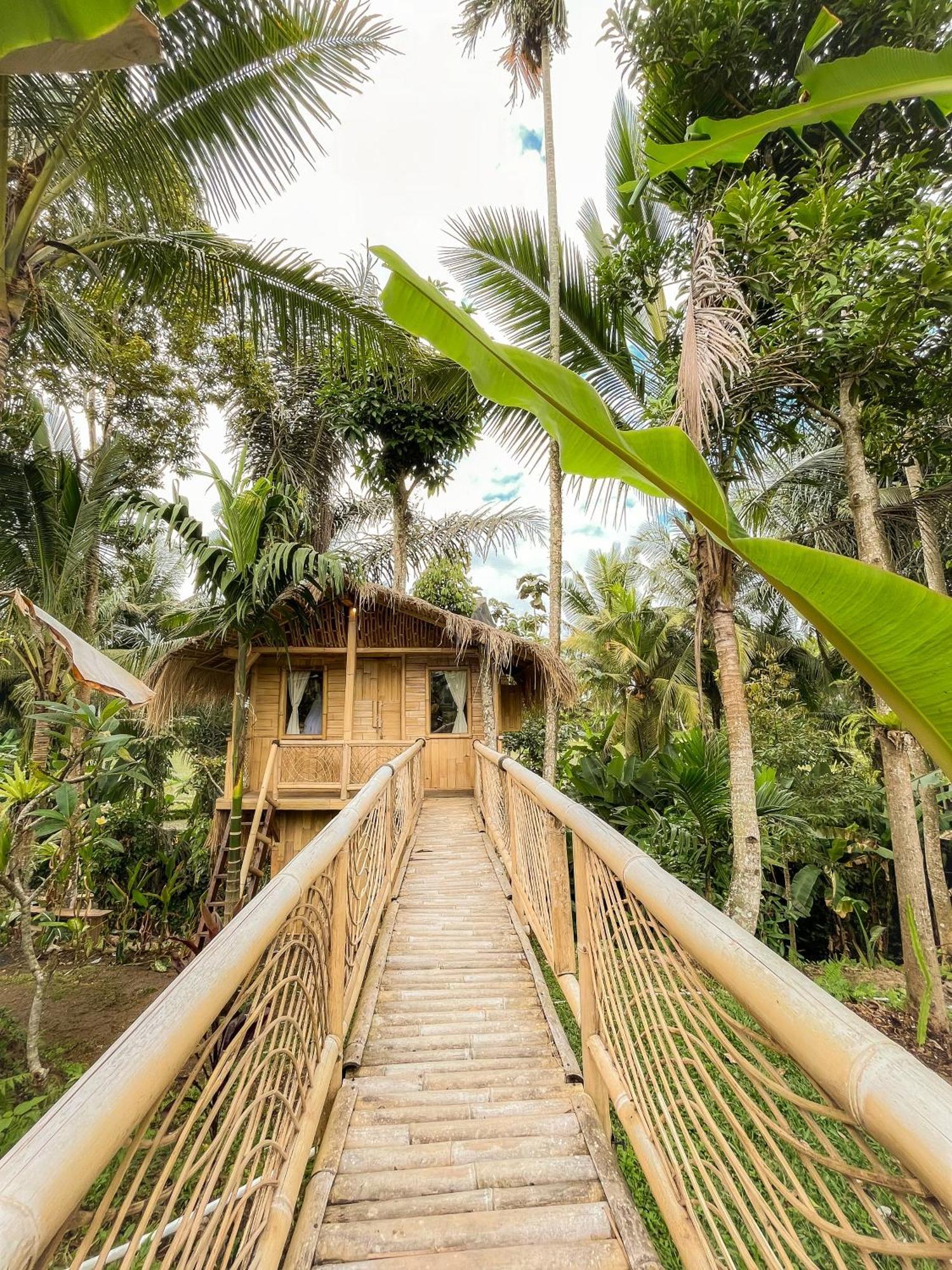 Kawig Bamboo House - Ricefield View, Eco Bamboo Home Tampaksiring Luaran gambar