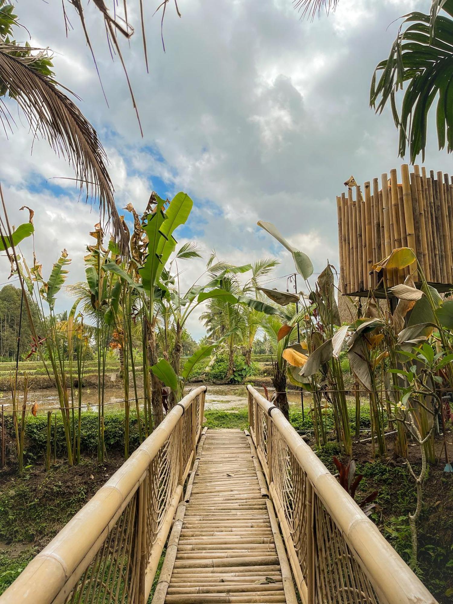 Kawig Bamboo House - Ricefield View, Eco Bamboo Home Tampaksiring Luaran gambar