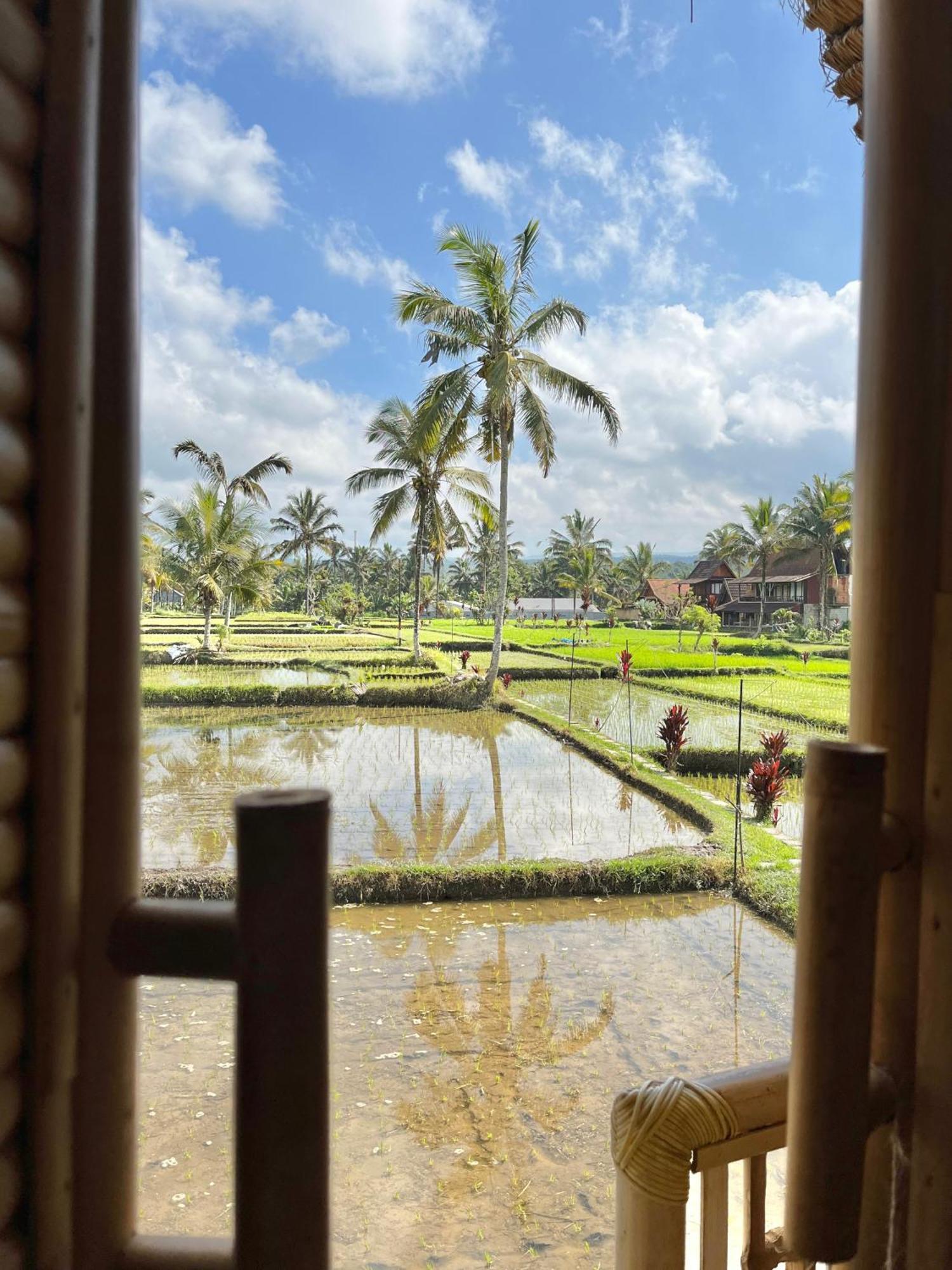 Kawig Bamboo House - Ricefield View, Eco Bamboo Home Tampaksiring Luaran gambar
