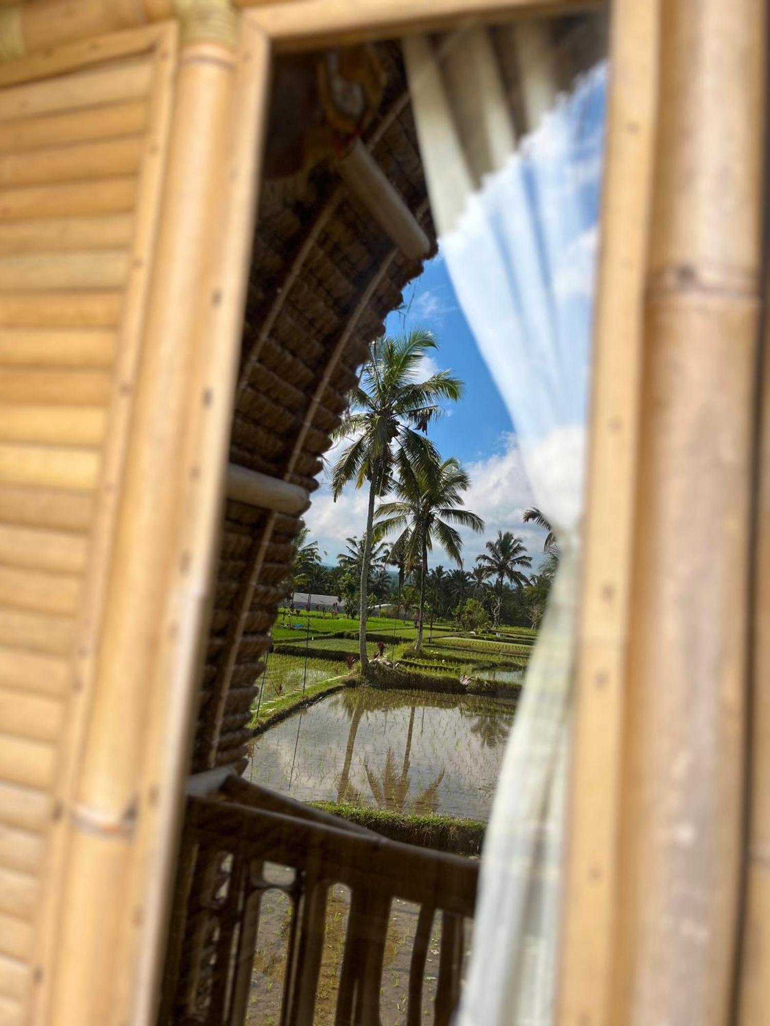 Kawig Bamboo House - Ricefield View, Eco Bamboo Home Tampaksiring Luaran gambar