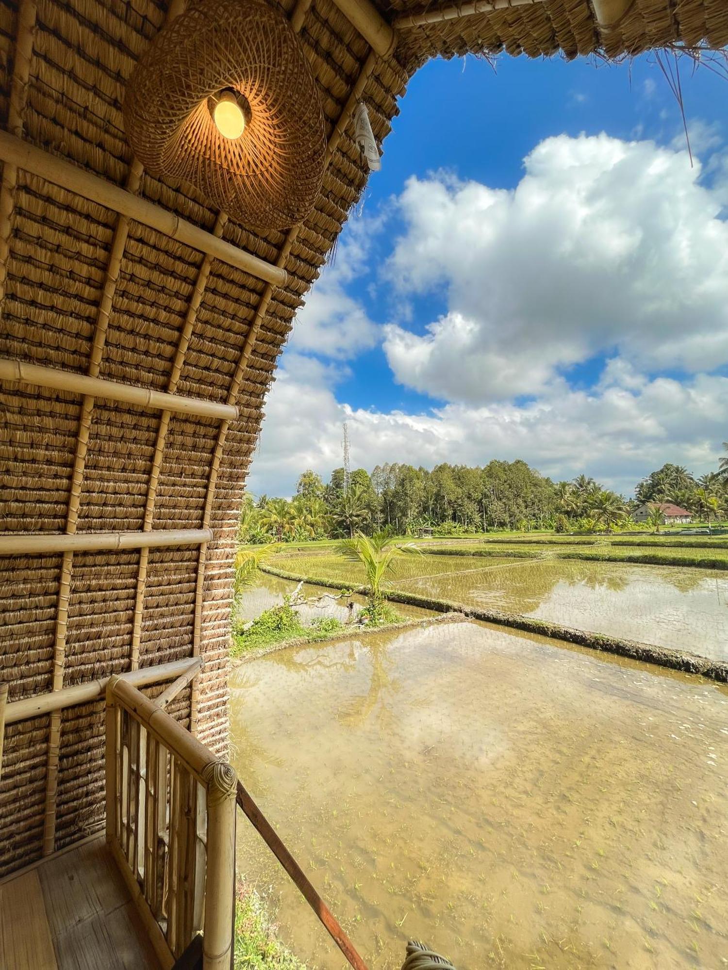 Kawig Bamboo House - Ricefield View, Eco Bamboo Home Tampaksiring Luaran gambar