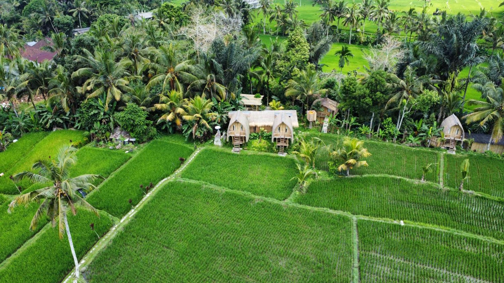 Kawig Bamboo House - Ricefield View, Eco Bamboo Home Tampaksiring Luaran gambar