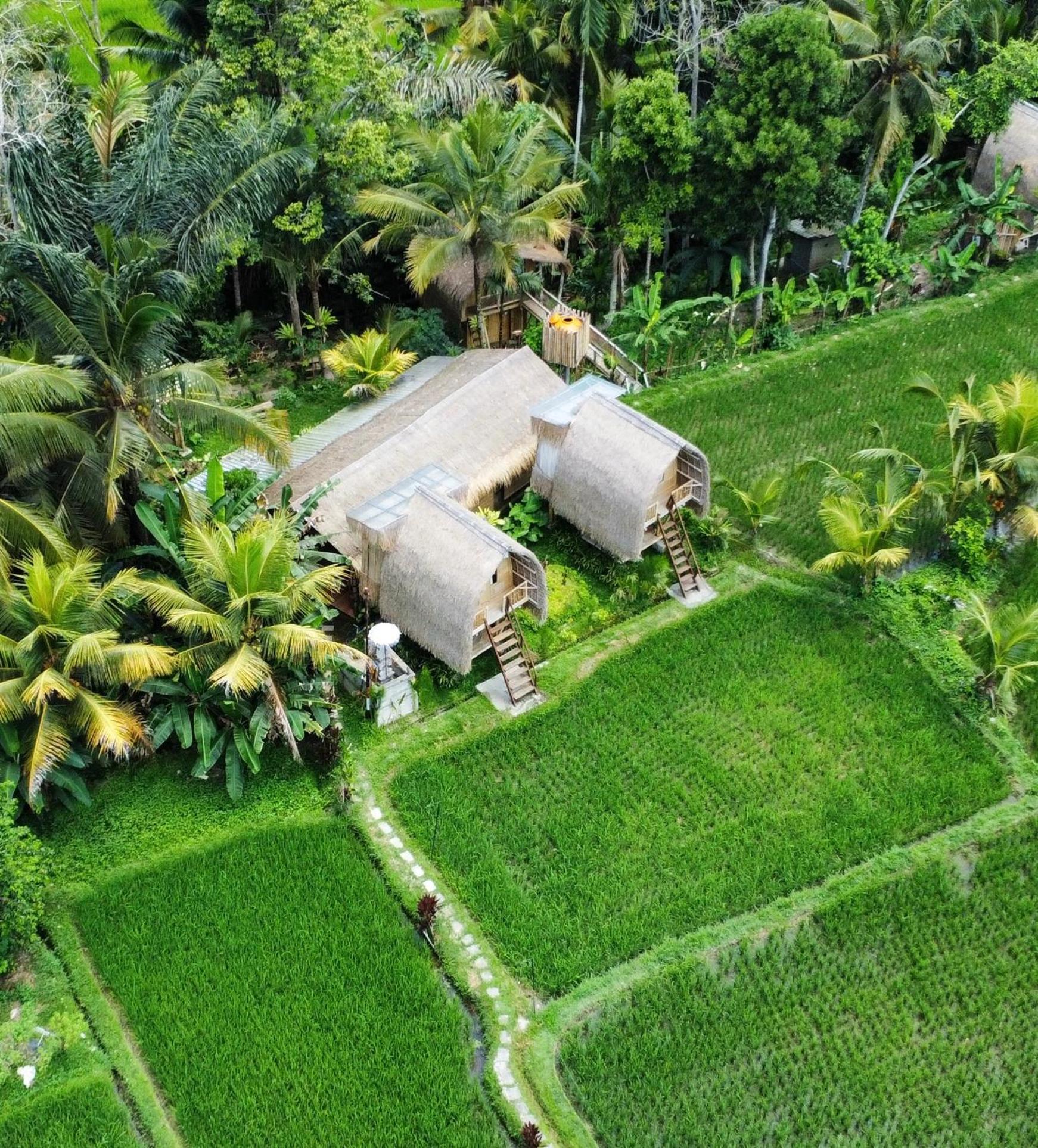 Kawig Bamboo House - Ricefield View, Eco Bamboo Home Tampaksiring Luaran gambar